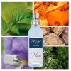 "H147 Aromatique Boisée" une alternative à "Bois d'Argent®" de Christian Dior-50 ml